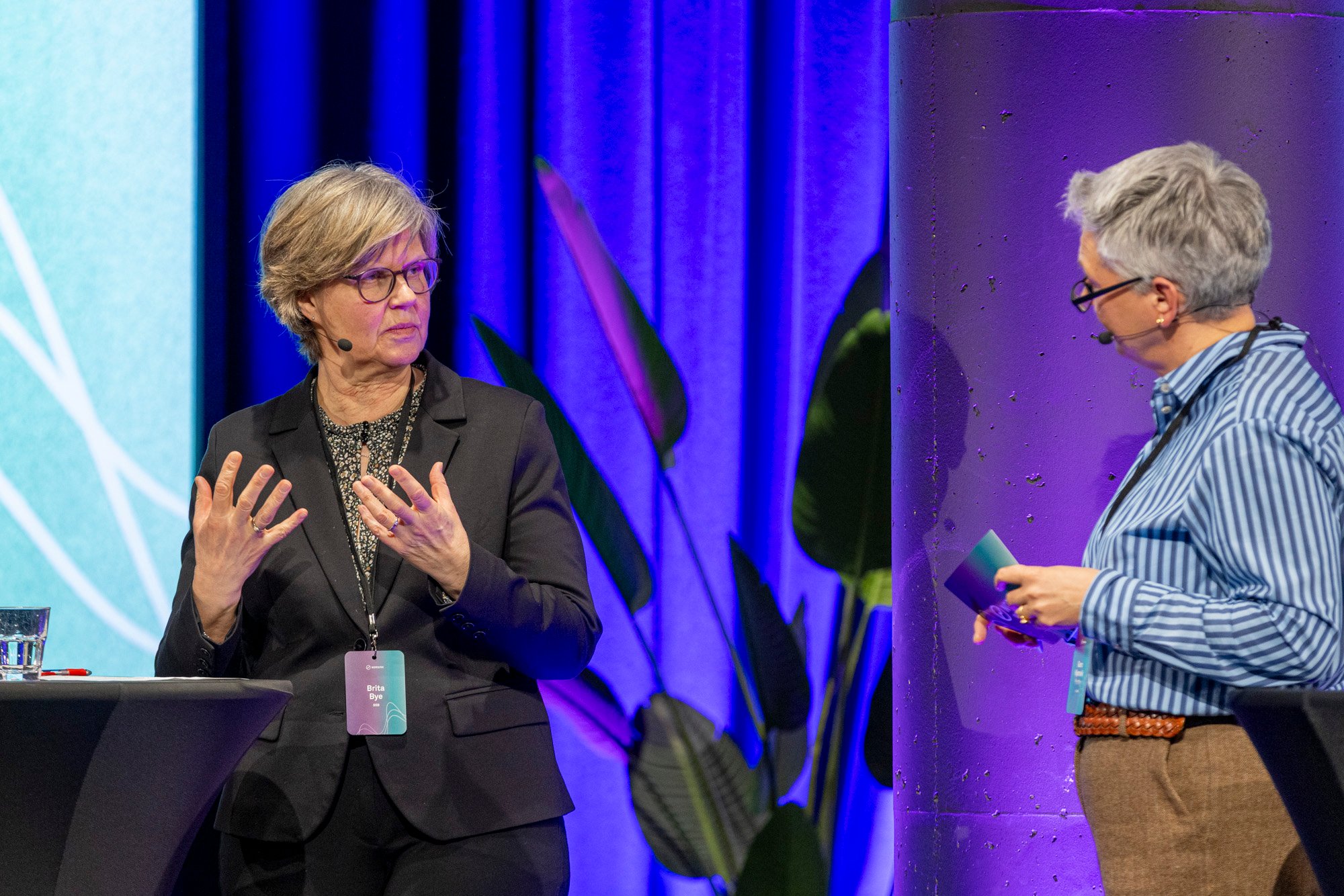 Norsirk-Innsiktsdagen-Brita-Bye-0184