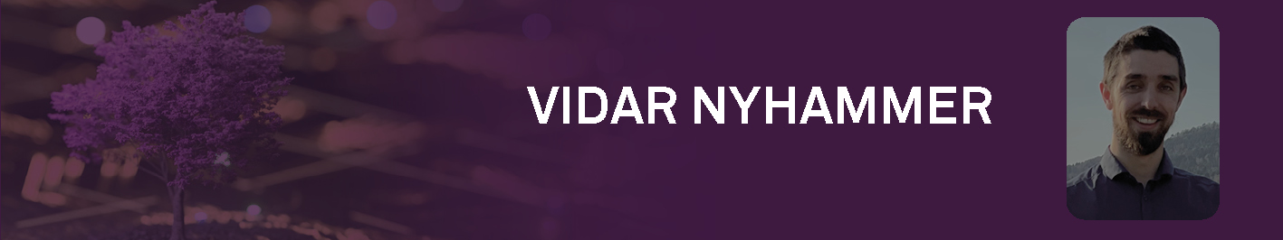 Vidar Nyhammer