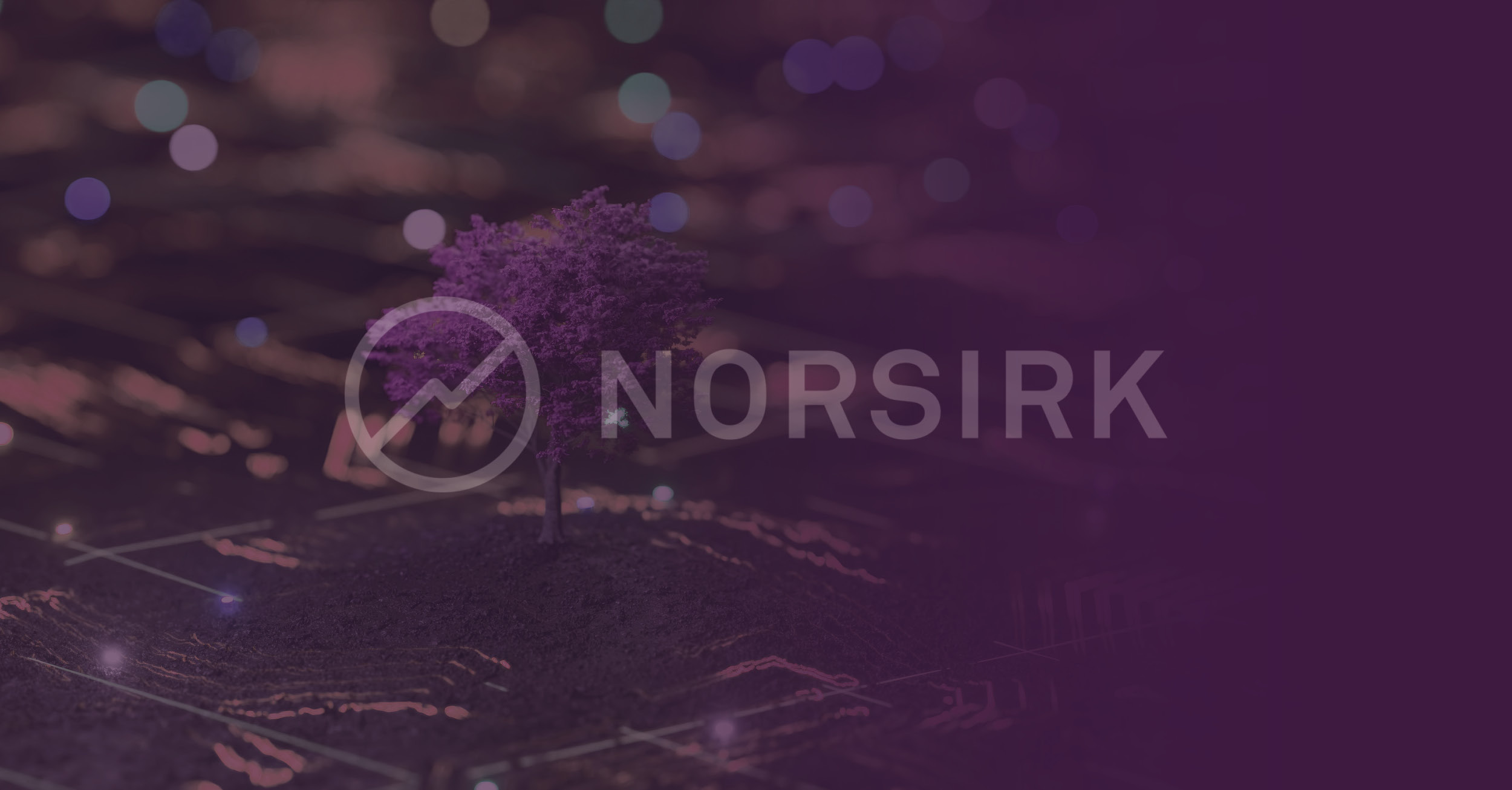 Innsiktsdagen 2025 – den viktigste møteplassen for sirkulærøkonomi og produsentansvar