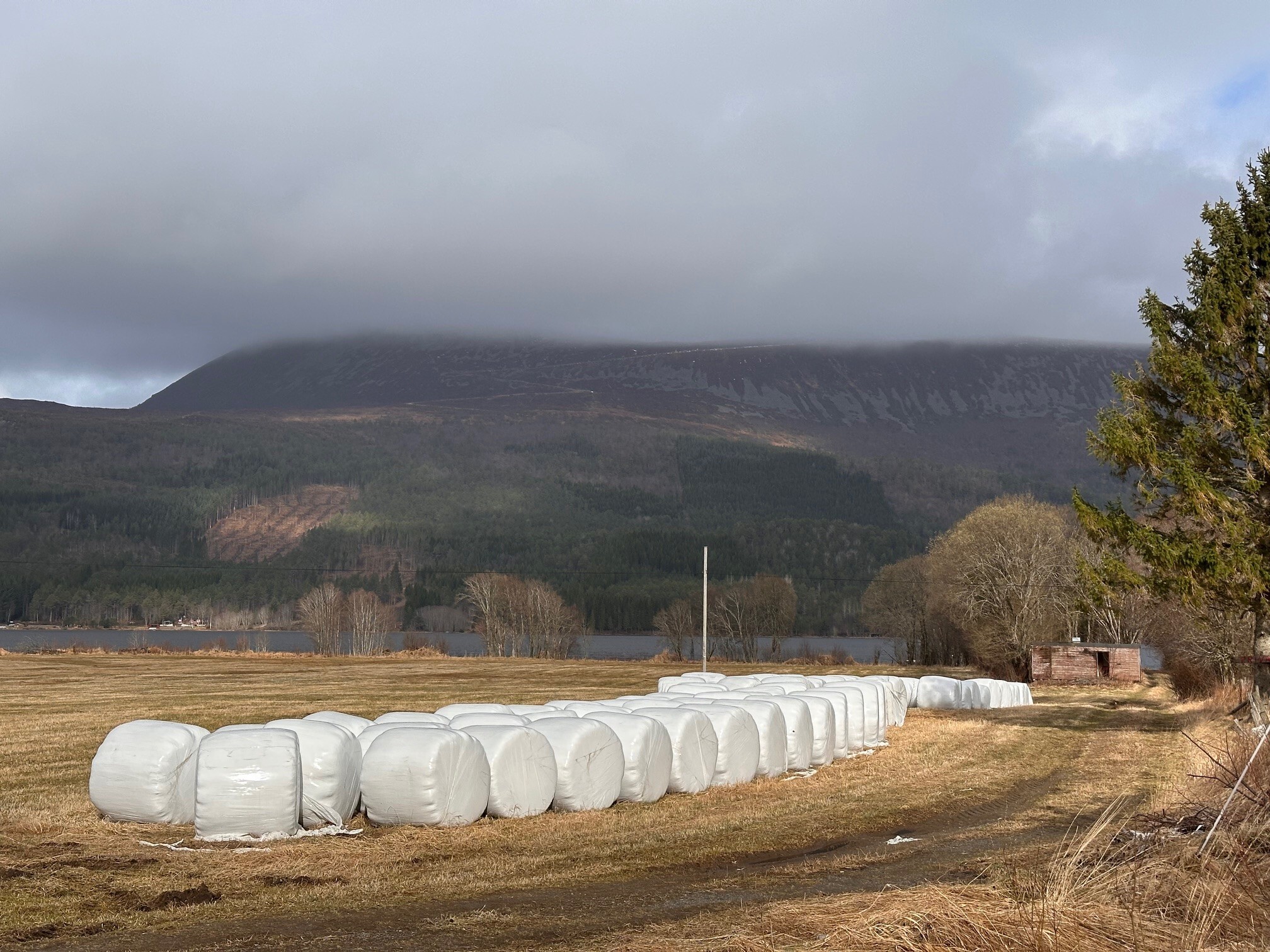 Innsamling av landbruksplast
